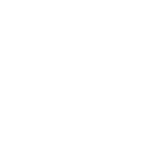 logo ps white